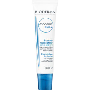 BIODERMA ATODERM BAUME LÈVRES 15 ML